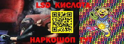 индика Гусев
