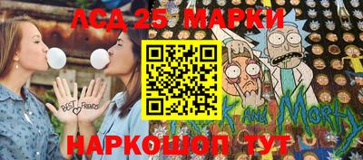 индика Гусев