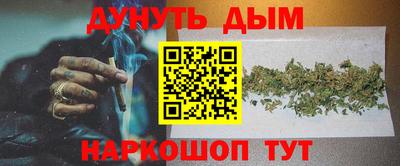 индика Гусев