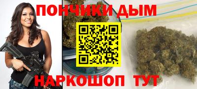 индика Гусев