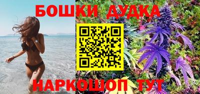 индика Гусев